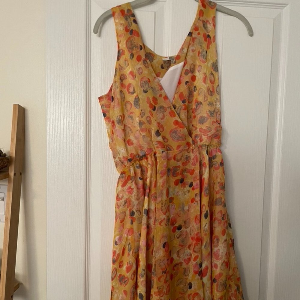 BB Dakota Dress